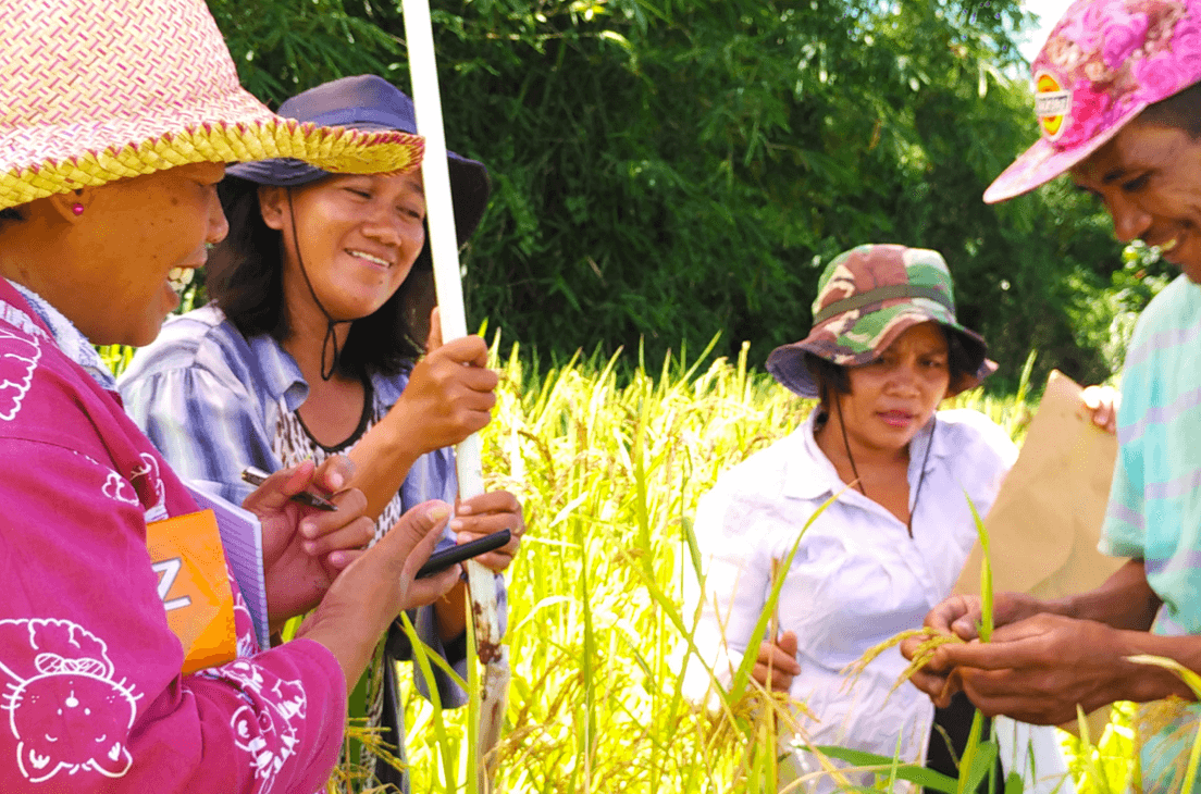Portraits of Resilience: Resilient Livelihoods (Case Story)