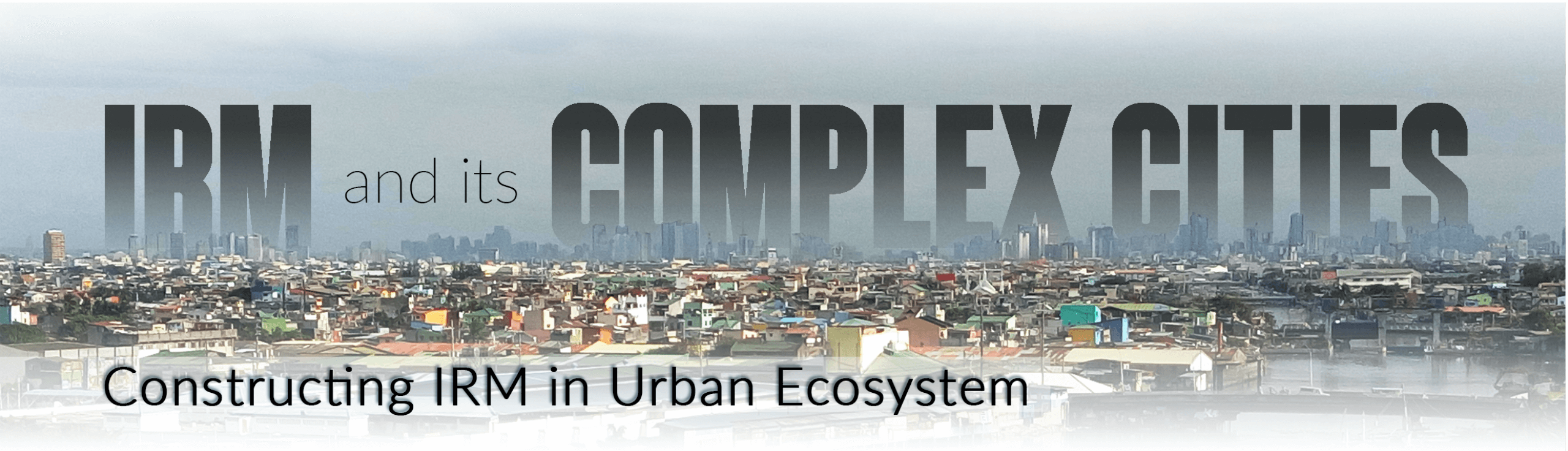 IRM and Its Complex Cities