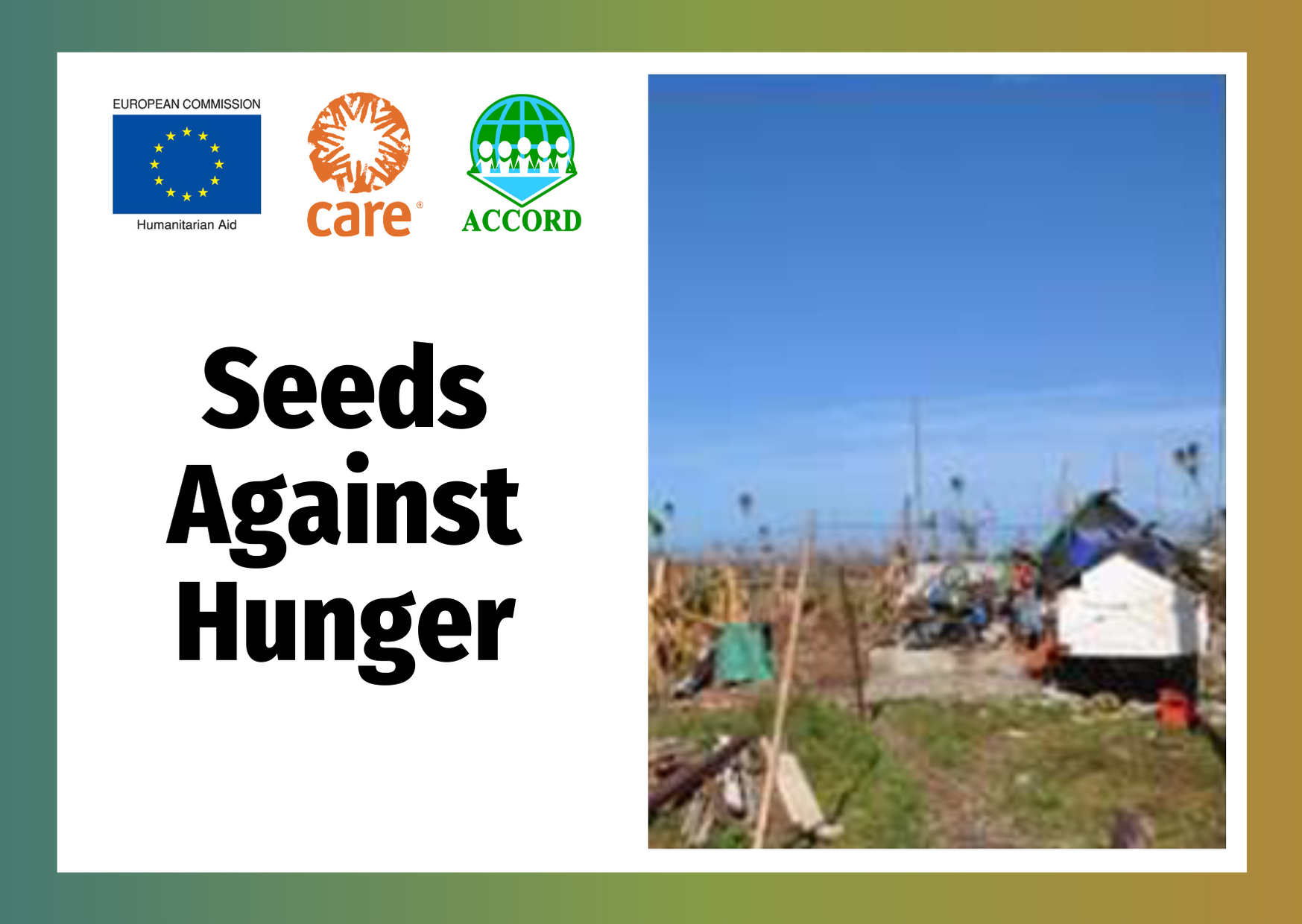 Seeds Against Hunger