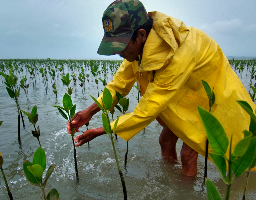 Ecosystem Management and Restoration: Combating Disasters by Protecting Ecosystems Using a Landscape Approach