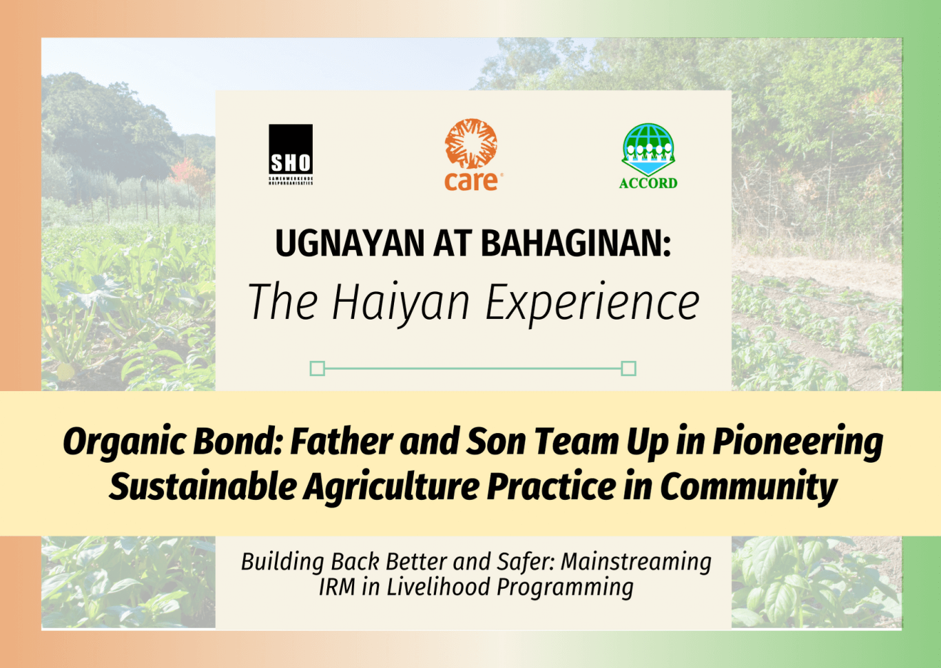 Ugnayan at Bahaginan: The Haiyan Experience | Organic bond: Father and Son Team Up in Pioneering Sustainable Agriculture Practice in Community