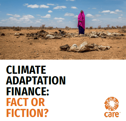 Climate Adaptation Finance: Fact or Fiction?