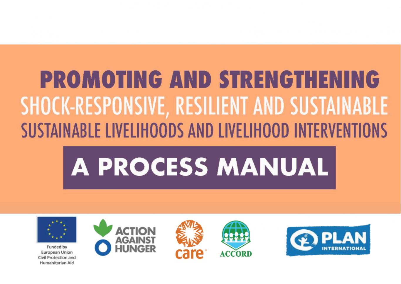 Promoting and Strengthening Shock-Responsive, Resilient and Sustainable Livelihoods and Livelihood Interventions: A Process Manual